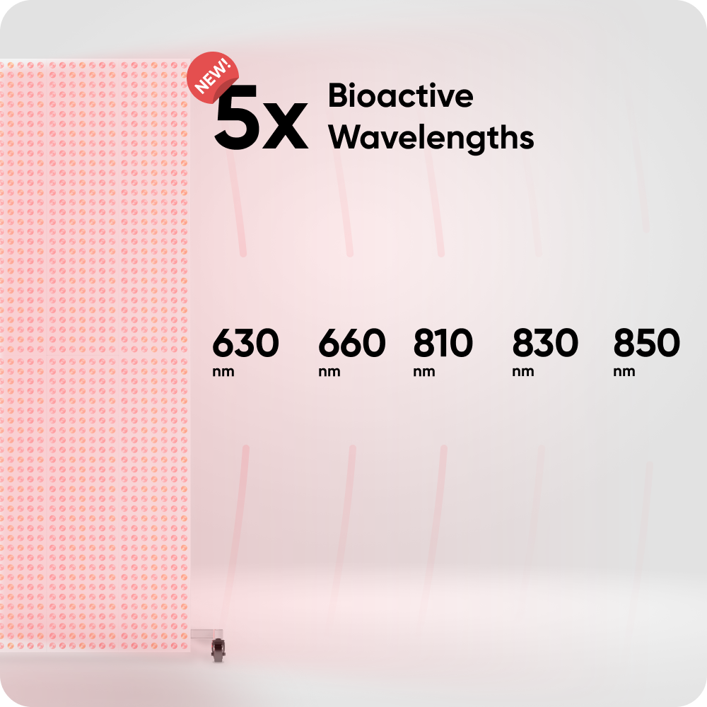 Infraredi Pro Studio 2.0 Infraredi